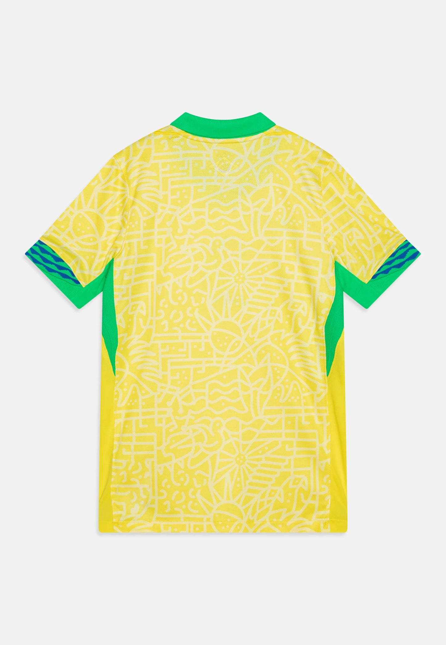 Brasile 2024 Copa America