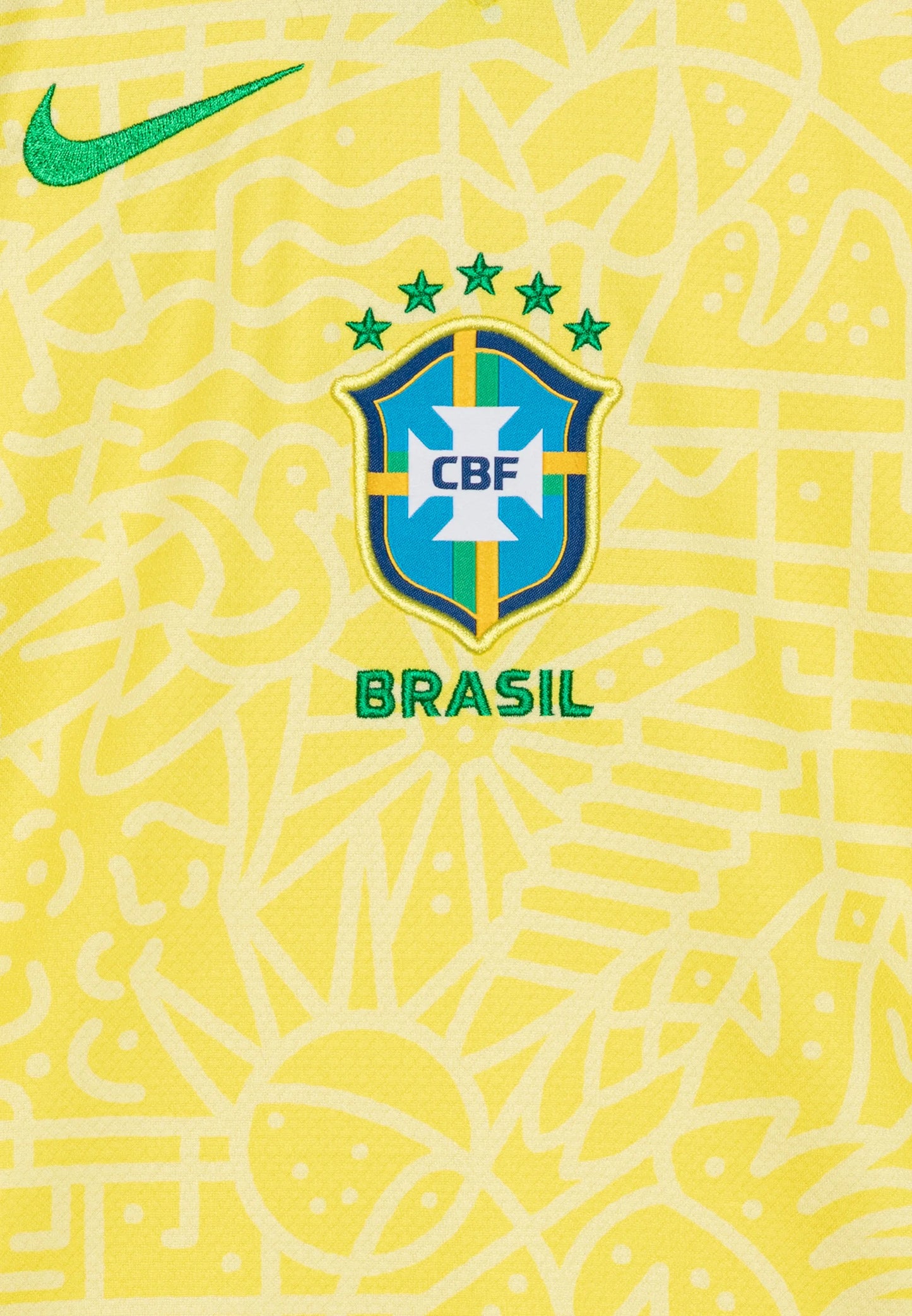 Brasile 2024 Copa America