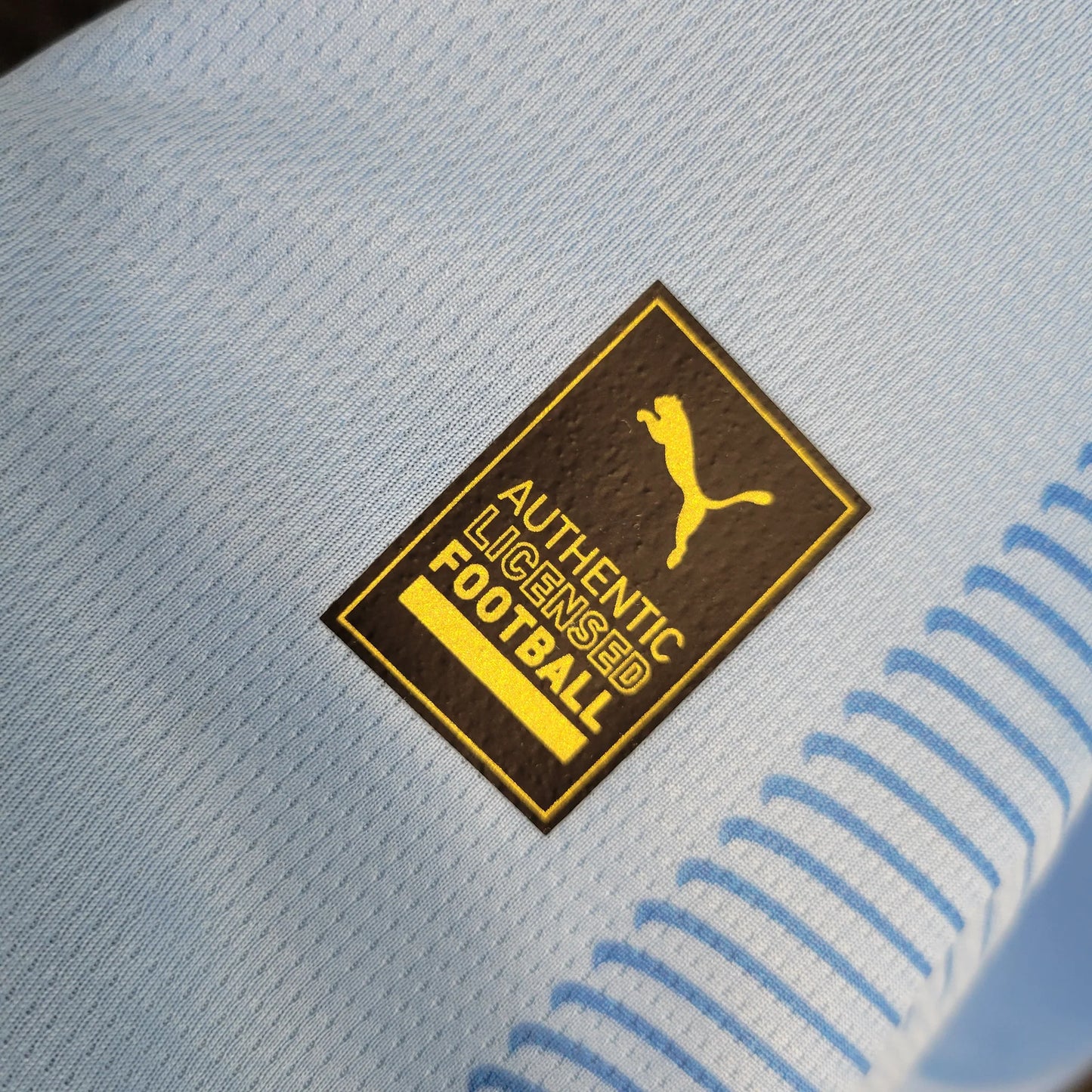Manchester City 23/24